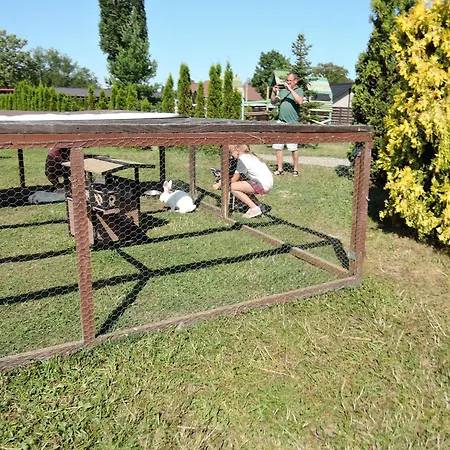 In Near Baltic Sea *